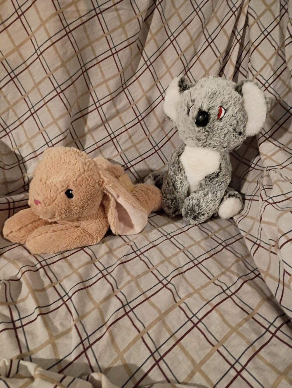 2 Super Soft Stuffies